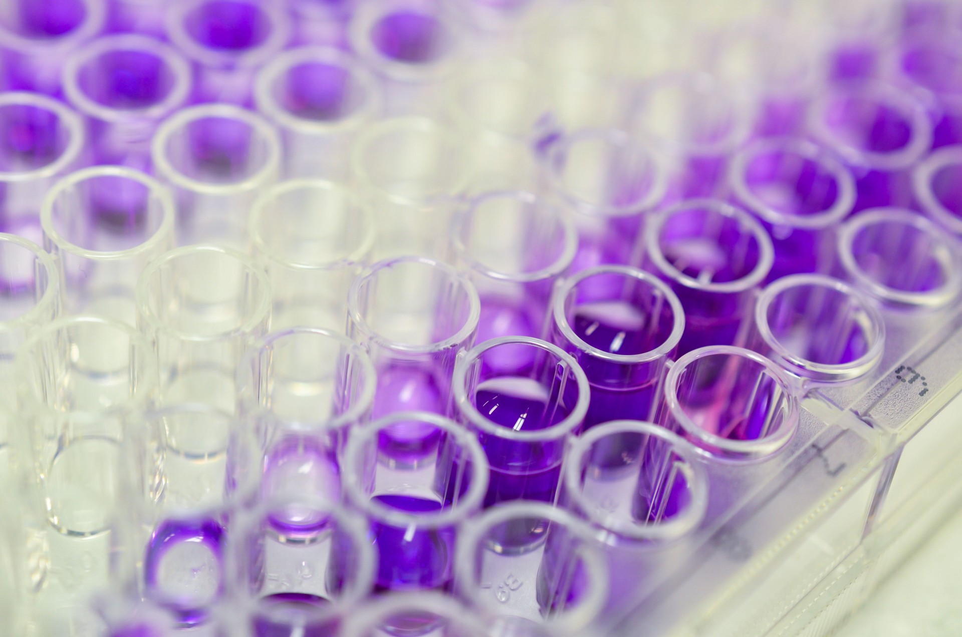 Biotechnology laboratory research with 96 well plate